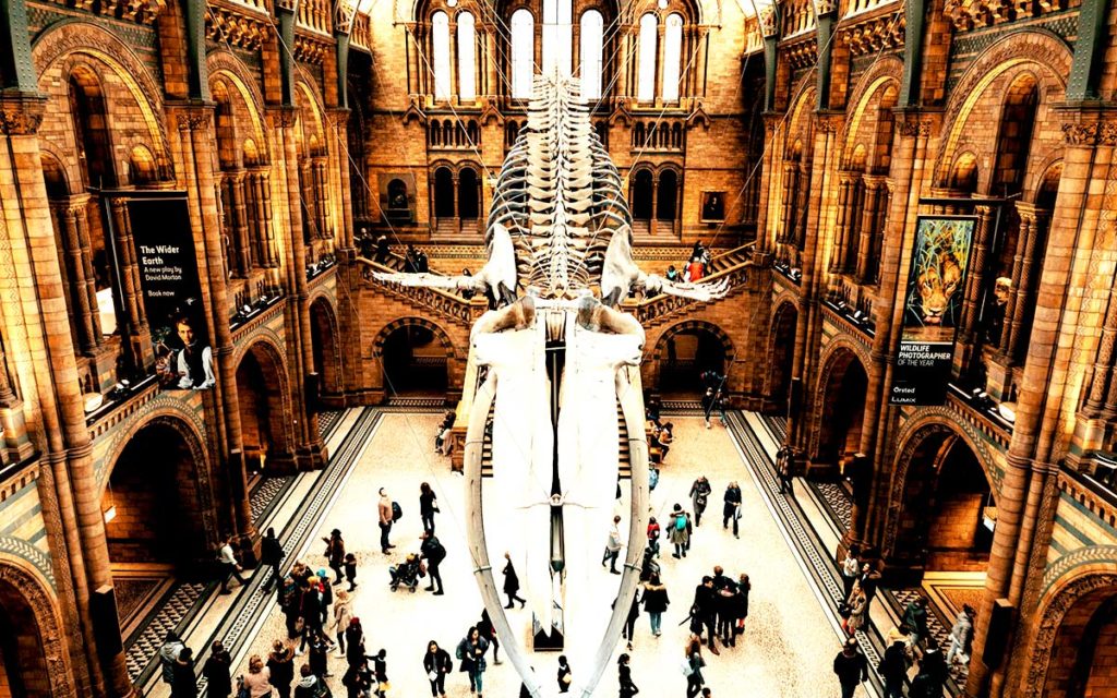 Best 10 museums in London