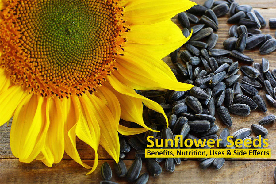 Sunflower Seeds Benefits