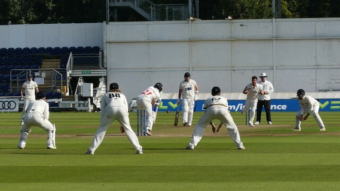 cricket-in-covid