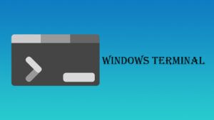 windows-terminal