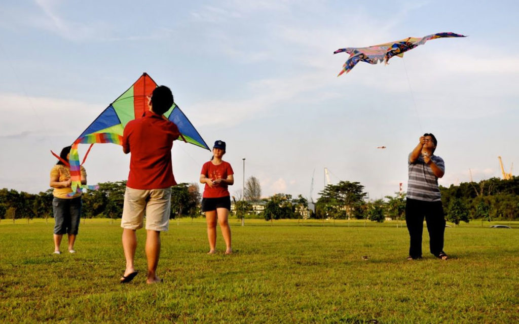 Flying Kite Outdoor Activity: