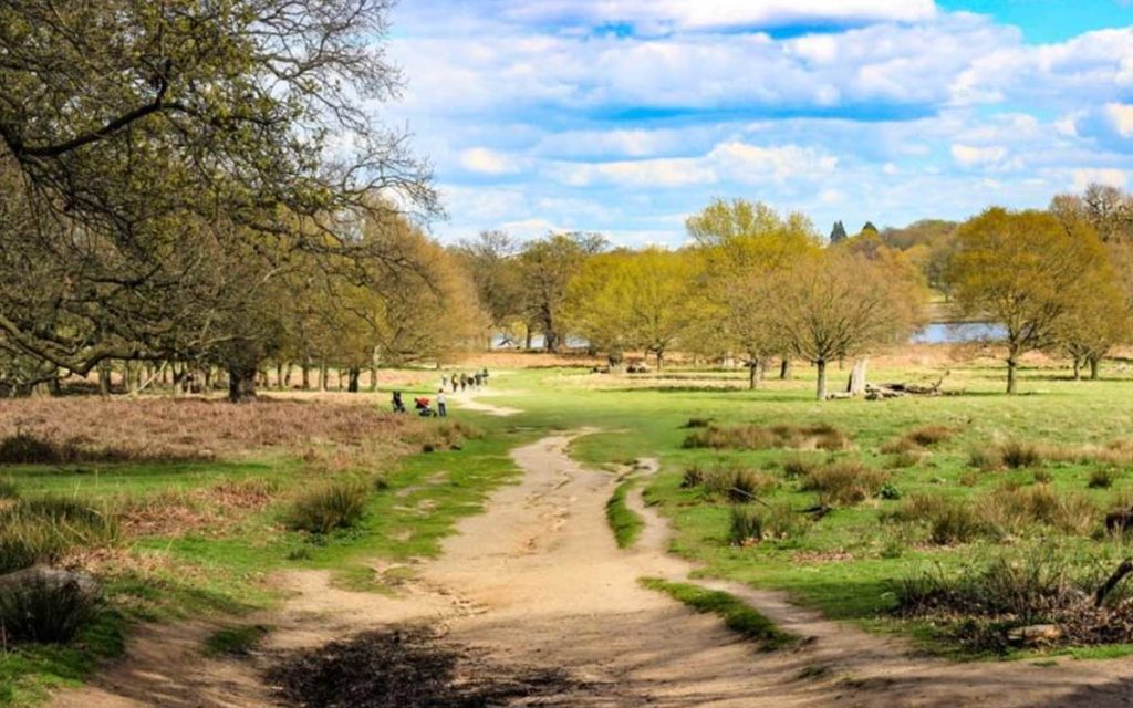 Richmond Park: