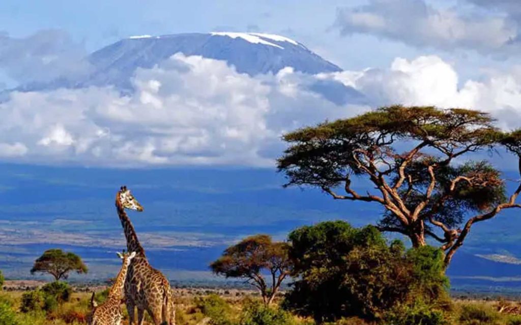 Snow-Capped Mount Kilimanjaro; Tanzania Holiday Destination: