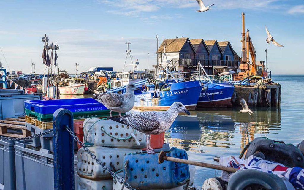 Whitstable,  day trip: 