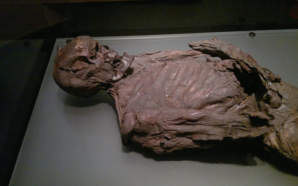 Gallagh Man – Ireland; creepy mummies that ever existed