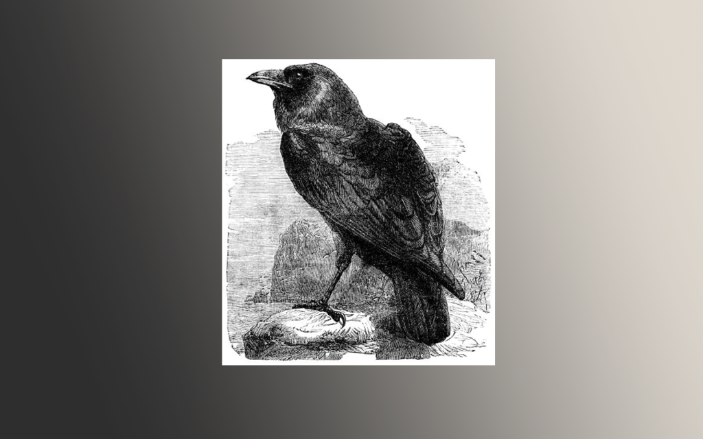 Analysis Of Raven 1845 by Edgar Alan Poe: