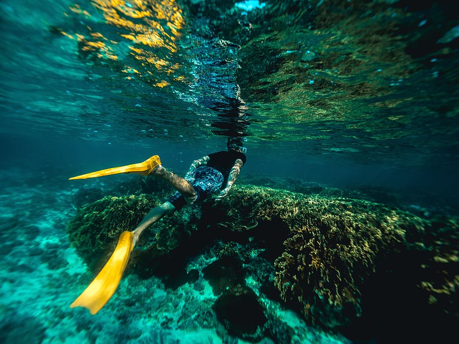 Snorkeling