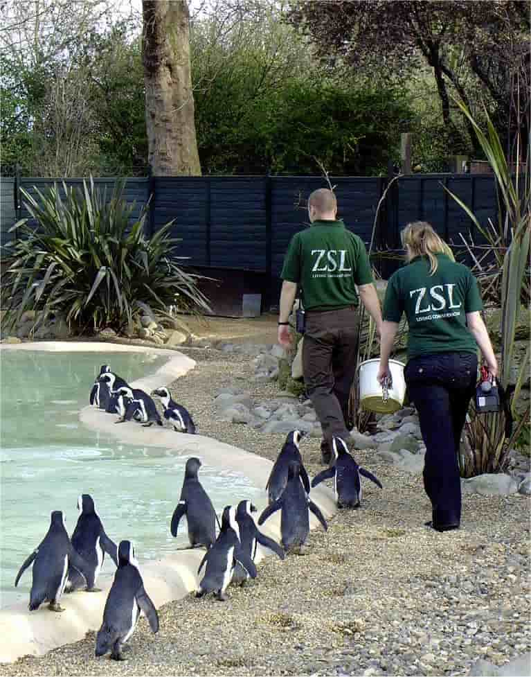 London_Zoo