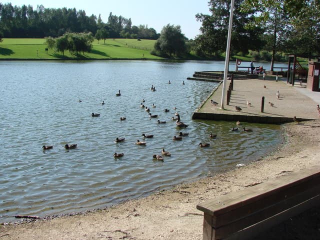 The boating lake jetty, Hemsworth Water park