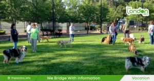 Dog Parks in London